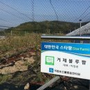 유계농장 네이버블로그