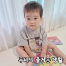 신나는독후활동 | 두돌 아기 생활동화 교원 두비의 즐거운 생활 엄마표 책 육아 찐 후기