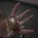 피써티원 | 4월 둘째주