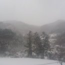 설산농장 이미지