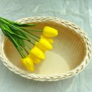 태랑병설유치원 이미지