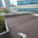 24시 리본동물영상센터 | 동래 24시 리본동물의료센터