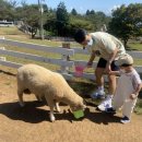 치열목장 이미지