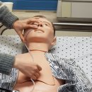 대성 간호 학원 이미지