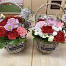 금마초등학교병설유치원 이미지