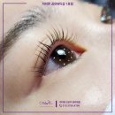 활짝핀 속눈썹 이미지