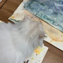 서래초등학교 이미지