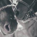 건강드림한의원 이미지