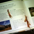 흙이랑 나무랑 이미지