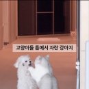 같이 이미지