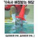 2023년 2학기 순천향대학교 학성사 향설생활관 기숙사 입사생 모집