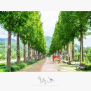 덕산관광농원 이미지