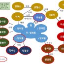 조선복음전래사-정약용 형제들이 만든 천주교 넝쿨 이미지