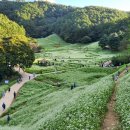 추정1리 이미지