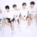 에이스 티브이데일리