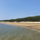 서천 프레시안