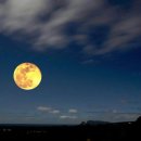 홀로그램 판타지쇼 이미지