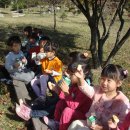 죽리초등학교(병설유치원) 이미지