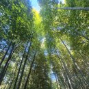 ☆미각·시각의 향연☆ &#34; 전국·제주 완전일주 9박 10일 &#34; 이미지