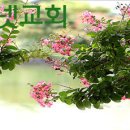 예수님의 3대 사역 이미지