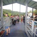 솔미축사 이미지