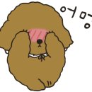 엄마찐빵