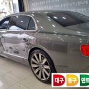 덴트LEE