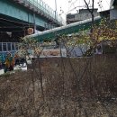 신대방수연약국 이미지