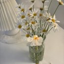 (원데이)히아시스 플라워 캔들 이미지