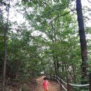 봉재산화장실 이미지