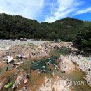 백담계곡 이미지