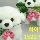 더나은( The na eun)