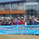 파란잔디 이미지