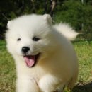 몽몽이# 이미지