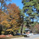 대구 달성(大邱 達城) | 달성군 - 달성 용연사 자운문, 용연사 삼층석탑, 용연사 극락전,