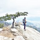 남원포 봉수대 | 전남장흥 천자天子의 면류관冕旒冠 천관산天冠山 그리고 바람난 여인 얼레지 알현謁見(2)(진죽봉~환희대...