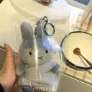 아녹스테이