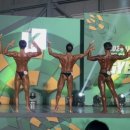 PRO-K스포츠