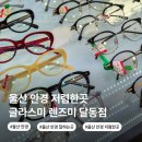 글라스미 안경 렌즈미 | 울산 안경점 저렴한곳 글라스미 렌즈미 달동점 가성비 안경 맞춘 후기
