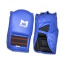 코브라 권투 체육관 이미지