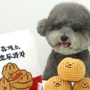 베오 베오 이미지