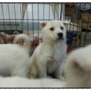 풍산농장 이미지