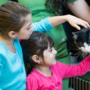 목감동물병원 이미지