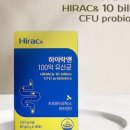 하이락앤