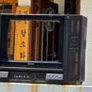 담소화 이미지