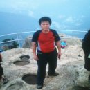 땡칠이네 이미지