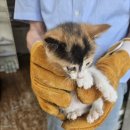 덕송민박 이미지