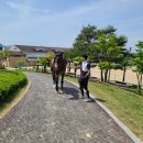 경기운영동 이미지