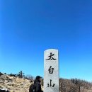 청화당 - 강릉시 금성로 21 | 청화당