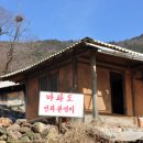 동백쉐이리 네이버블로그